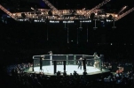 Bericht zur UFC Fight Night in London