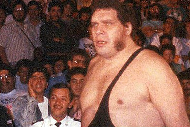 Infos zu André the Giant