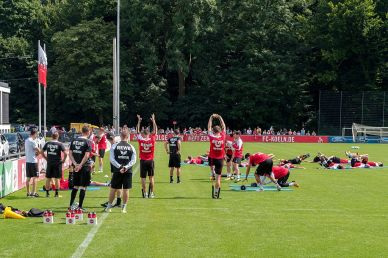Besiktas Istanbul denkt an Eric Martel