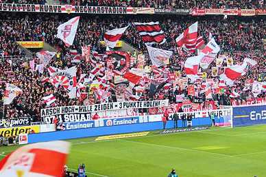 Bayern denkt an Castro - Stuttgart an Jansson dran
