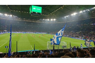 Matthew Hoppe vor Abgang beim FC Schalke 04?