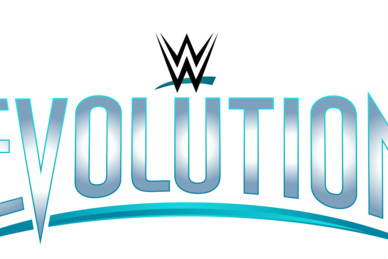 Ergebnisse zu WWE Evolution