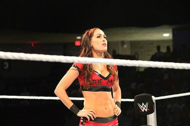 Brie Bella WWE Diva