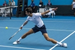 Novak Djokovic gewinnt Australian Open 2021