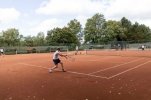 Tennisverband Sachsen-Anhalt Infos